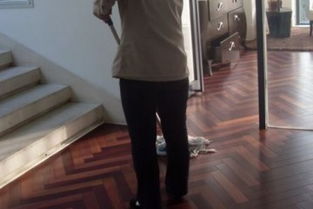 臺(tái)州日常保潔服務(wù)